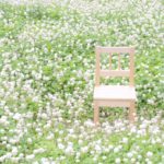 【体験談】ミヤリサンを長期間続けても、特に副作用なし！