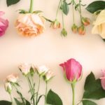 ミヤリサンでビオチン療法を！ソラレー社のビオチンサプリが効果的な3つの理由